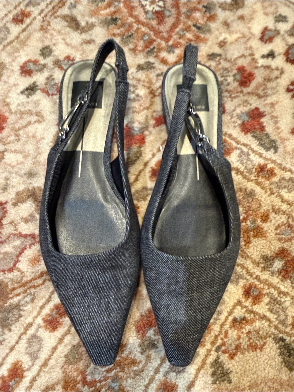 Dolce Vita Pointed Slingback Flats in Denim